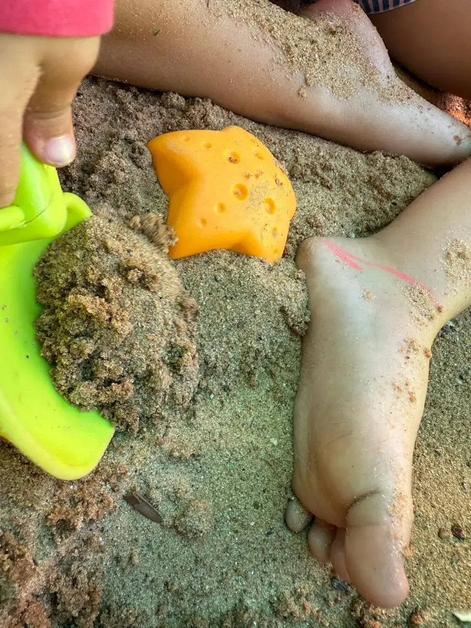 Atividades no Quintal Mãos Coloridas 9